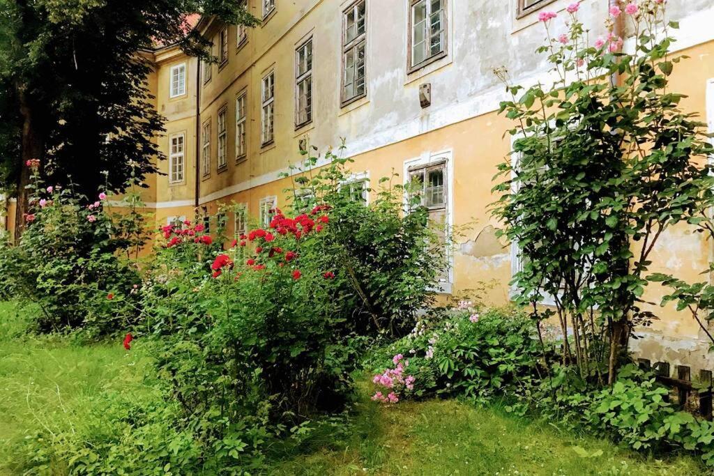 Rose Apartments / Romantic & Cozy / City Center Praha Eksteriør bilde